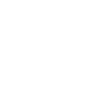 FitnessX Logo