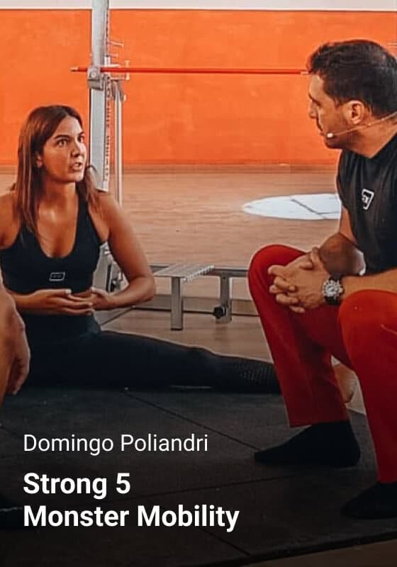 chapter10_mobility domingo poliandri